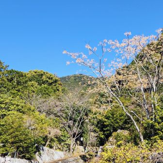 帰路、頂山を振り返る山
無事と晴天に感謝☺️
