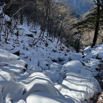 正面道を避けて下山
