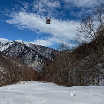 林間スキー場は営業してないのかな？
図上をゴンドラが通過していきます

天気良く大満足の谷川岳
積雪期、また来たいと思います❄️
