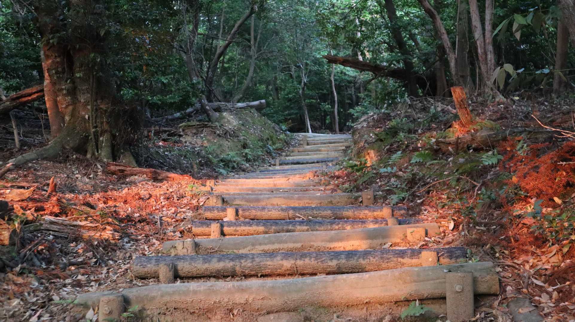 階段地獄もスポットライトあたってる
