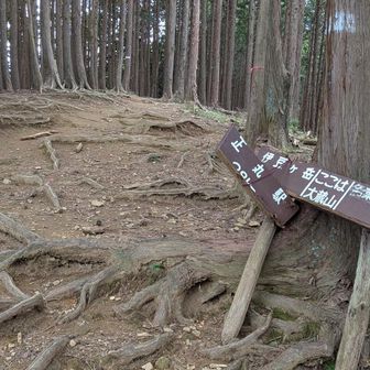 大倉山