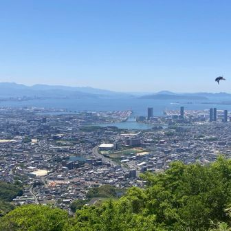 綺麗って思ったけど右にアブが入ってますね。山はやはり自然豊かなようです。