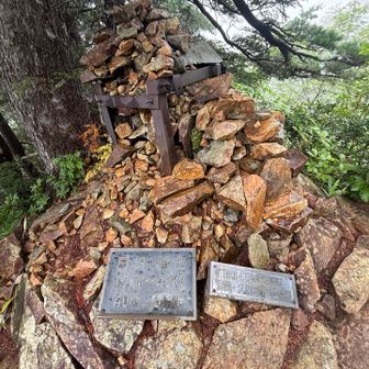 何かの記念碑と看板とケルン
雨が降ってきて
滑るのがこわいし、登りの人優先ですので
ゆっくり下山
