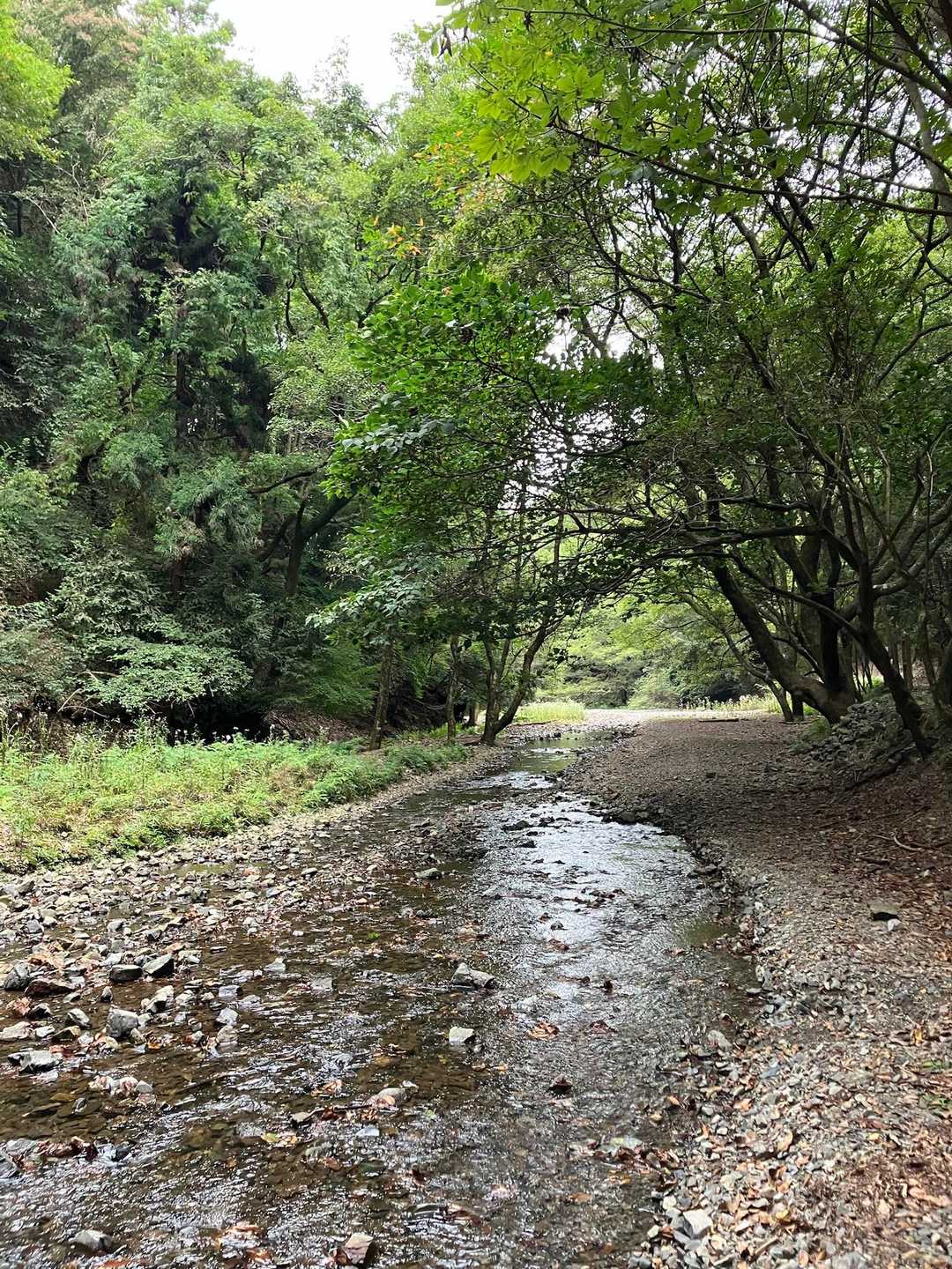 リラクゼーション効果ルート