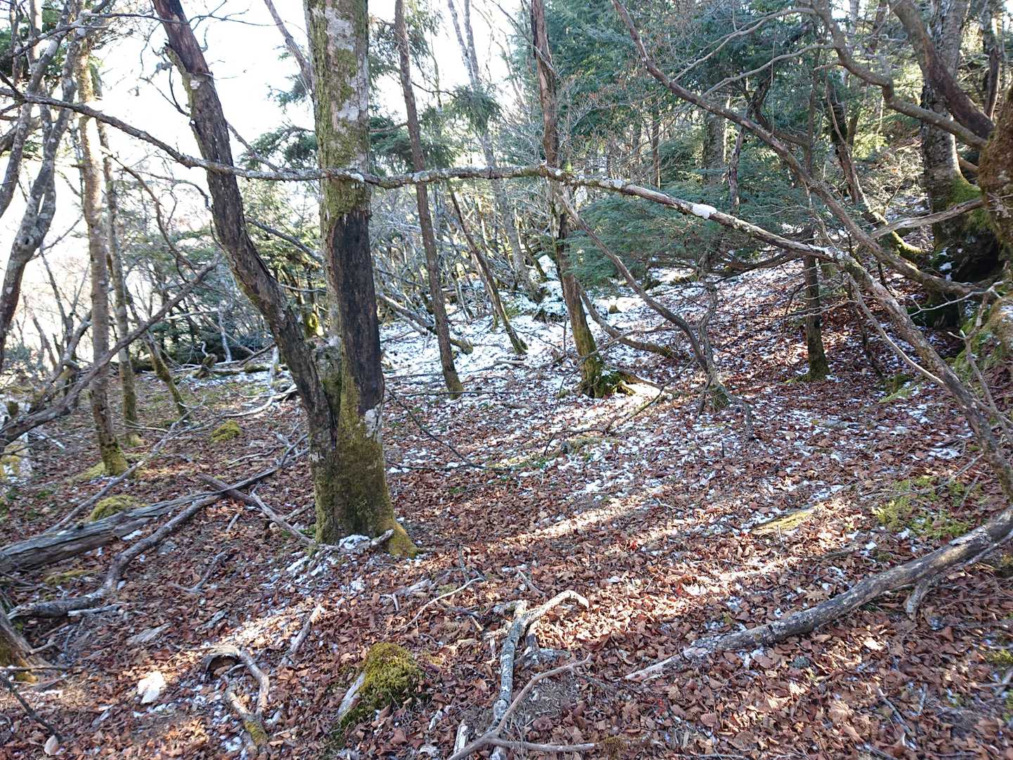 稜線上はチラホラ雪がありますね