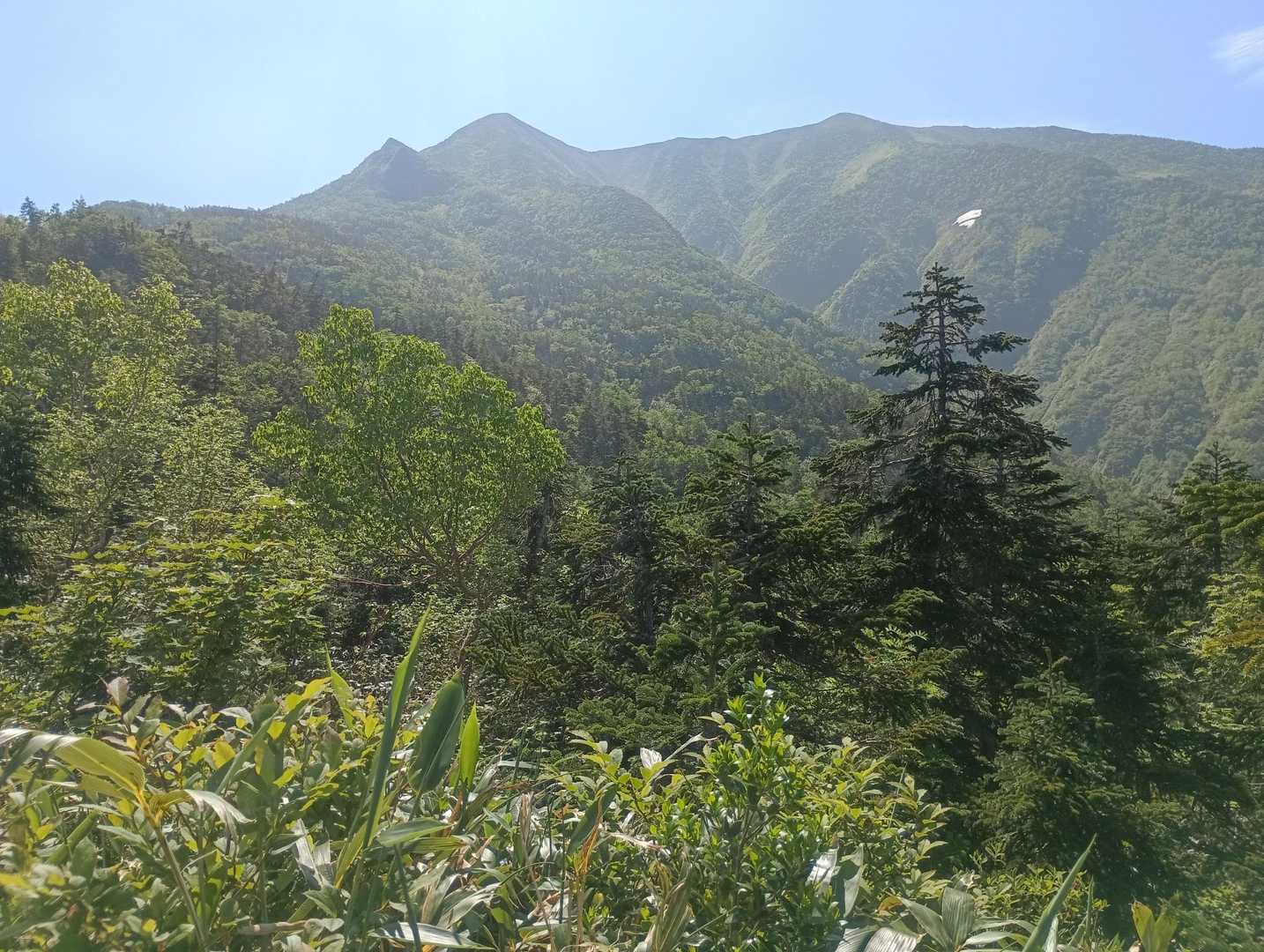 あそこまで行くんか
遠いなぁ
晴れはこの時だけでした