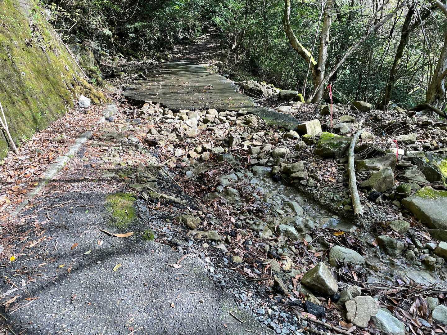 さてと林道を登山口まで2.6㌔
頑張って歩きます🚶‍♀️