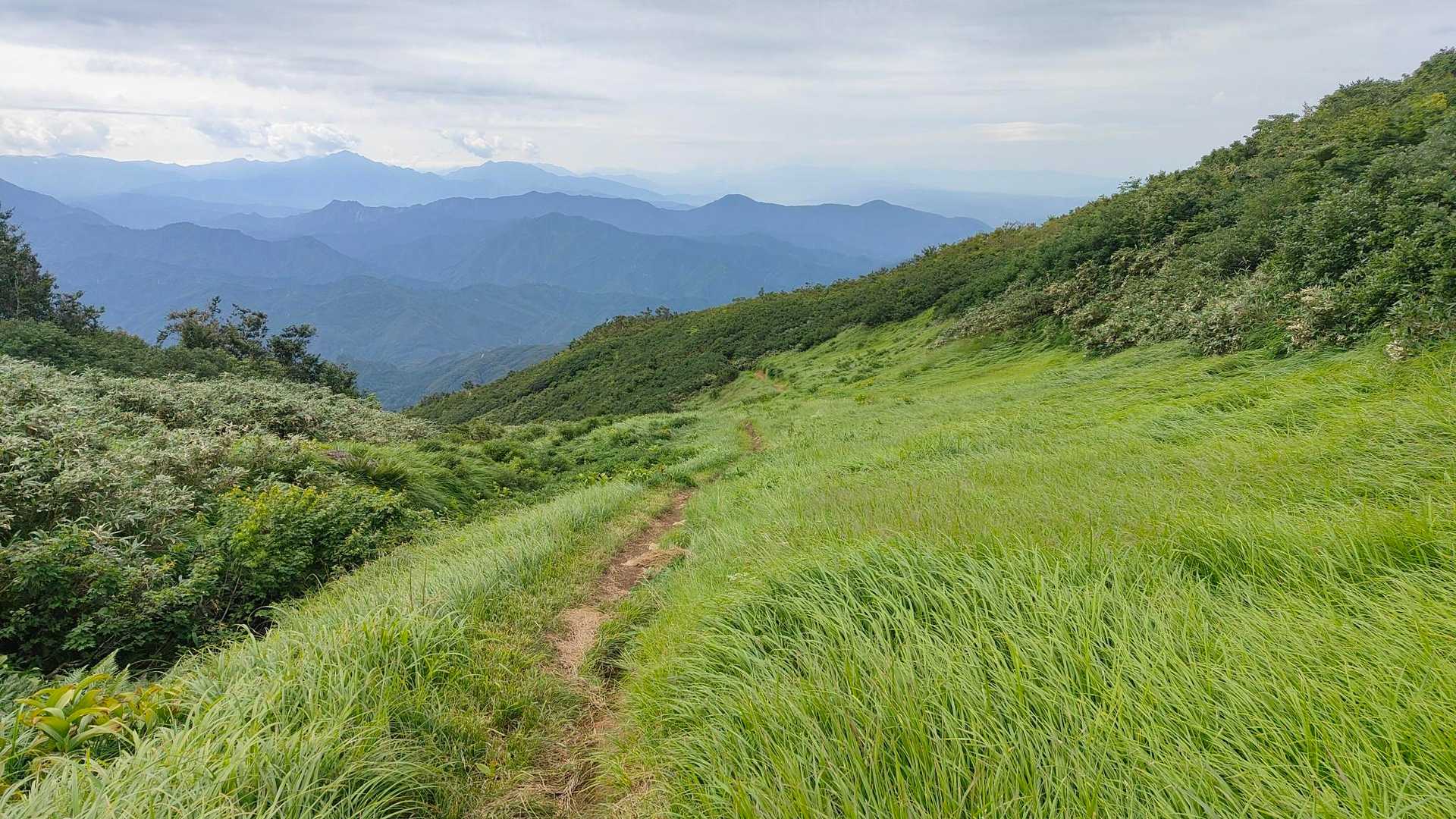 大白川登山口-守門岳 往復コースの写真
