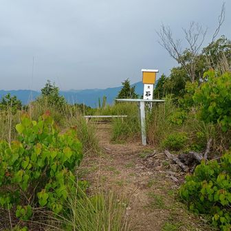 石金山の山頂です‼️
正直…疲れました
ここまで2時間11分は自分としては優秀
