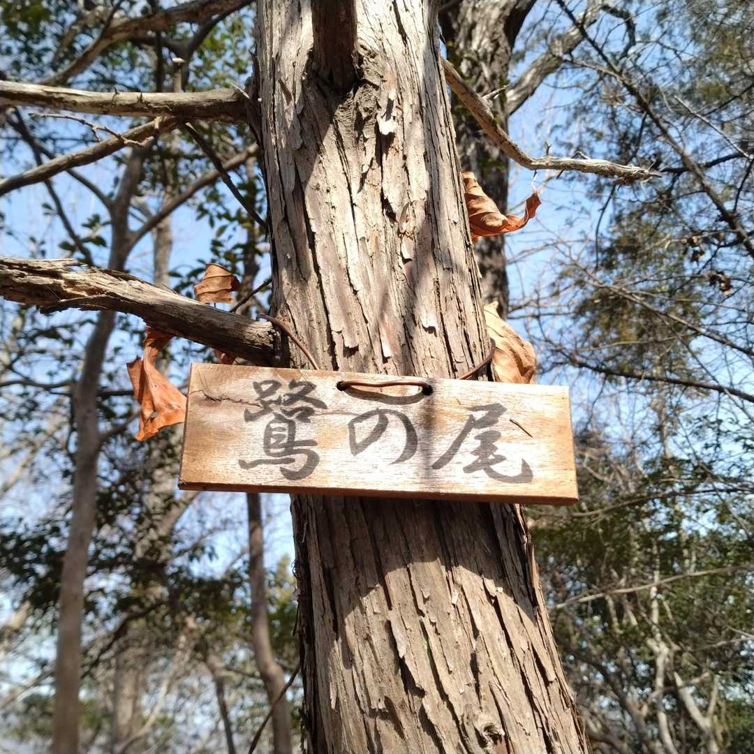 伽藍山-江良峠-鷺の尾-西方院 周回コースの写真