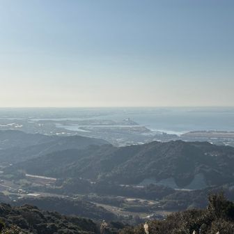 そして
目の前には三河湾です〜