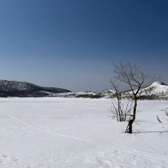 良い景色です♪