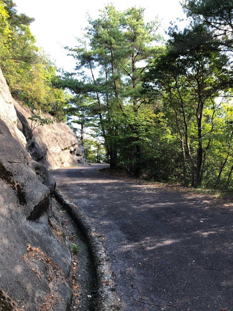 分岐点からは、舗装道路を歩きます。
後輩と、会話もはずみます。