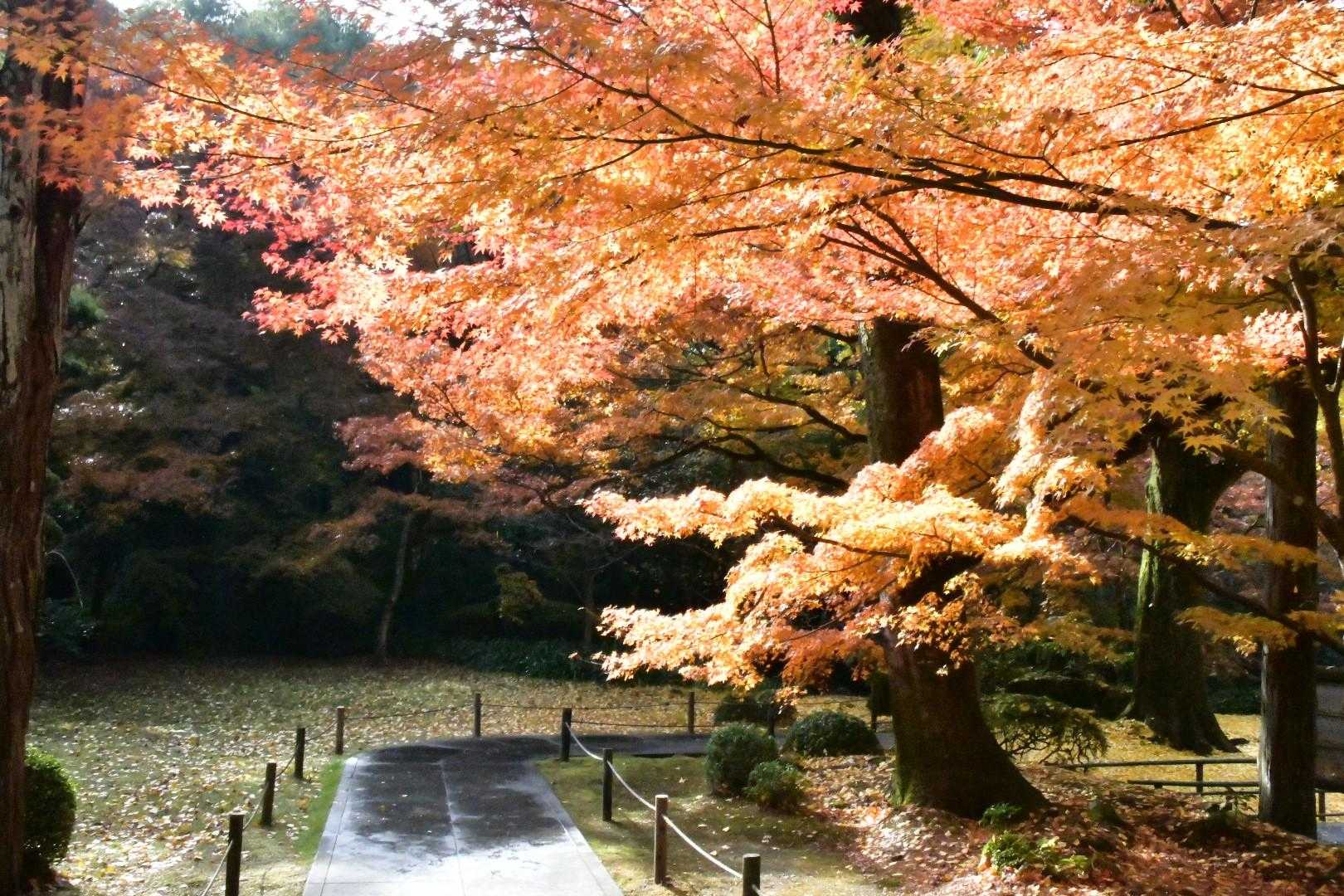 清水寺-清水山-清水山-永興寺 周回コースの写真