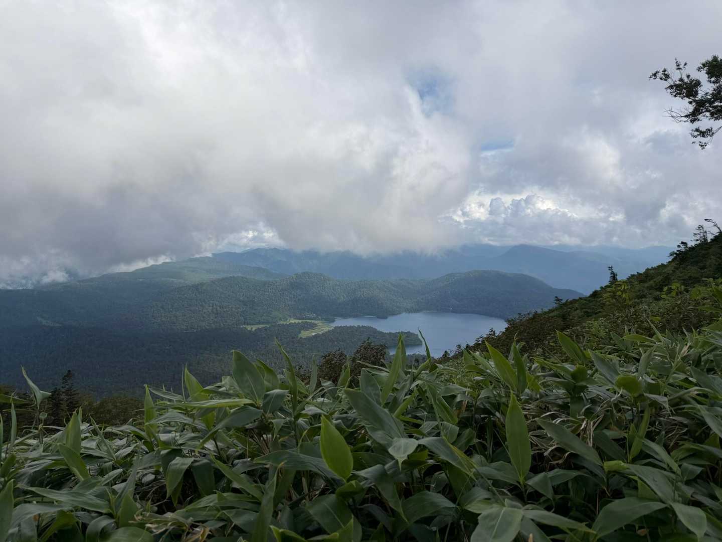 御池登山口-広沢田代-熊沢田代-俎嵓-長英新道分岐-尾瀬沼 縦走コースの写真