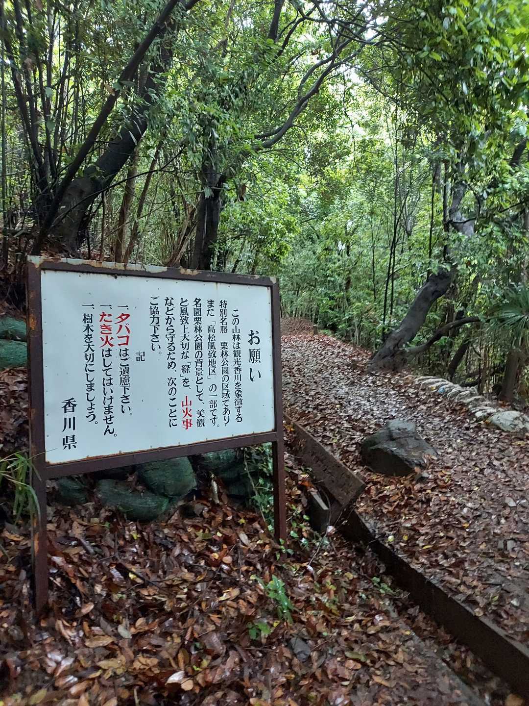 下りで予定の二倍ぐらい時間がかかりました。緩やかな道ありました、のんびりルート使えば良かったのかな…