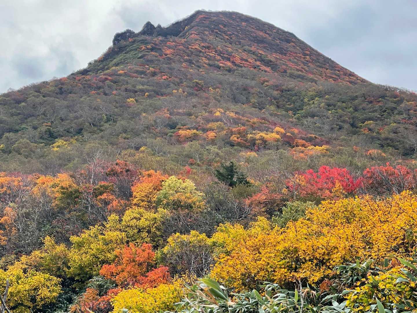 花畑から磐梯山を眺めると赤、黄色、オレンジとカラフル🍁東北らしい紅葉の景色。わーい♪