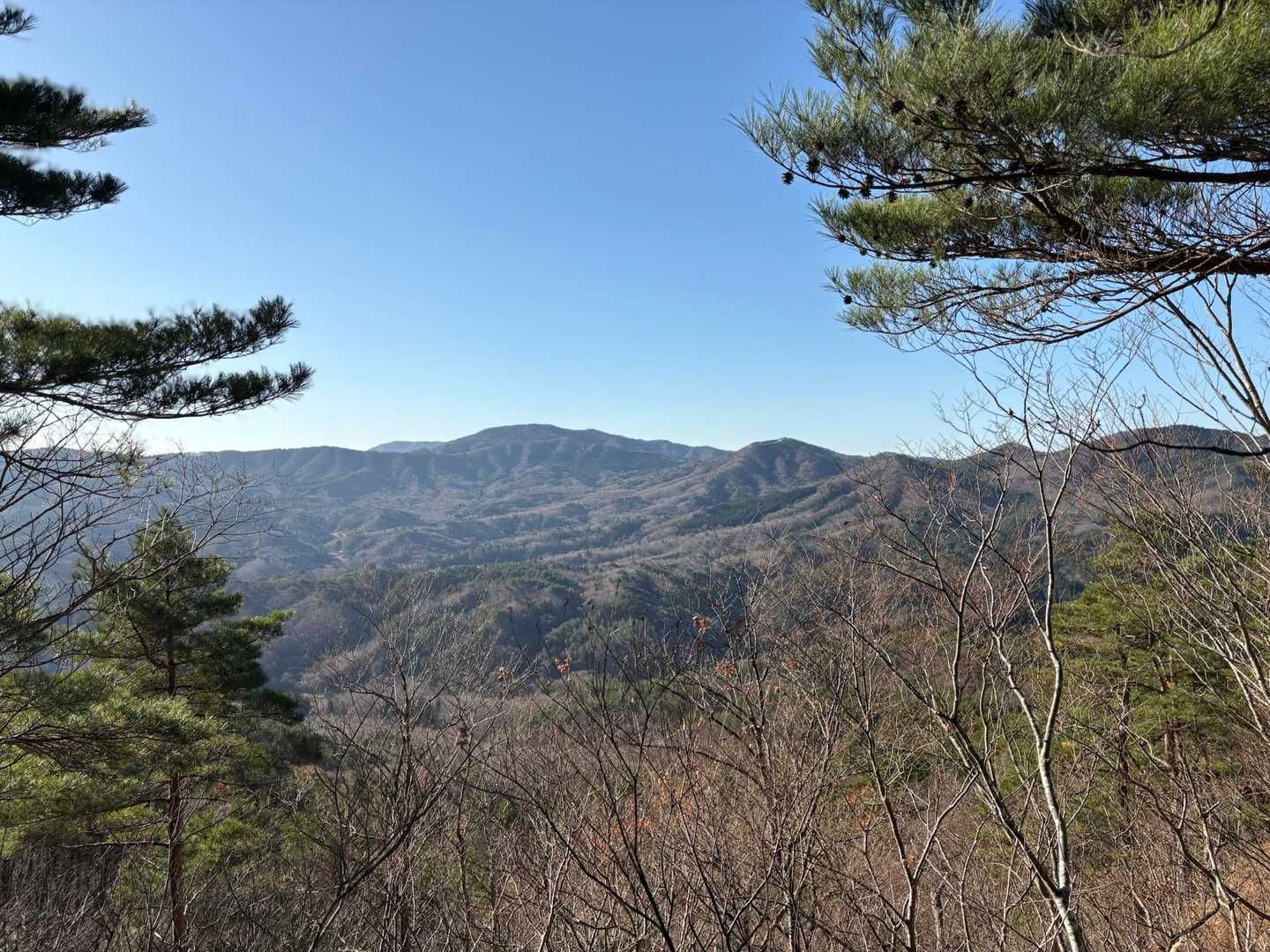 古霊山、いつか登ってみたい
霊山層という断崖地層は
このあたりのものらしい