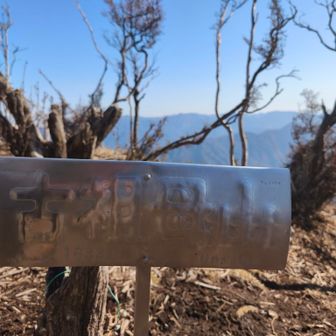 やっぱ銀のプレート好き🩷