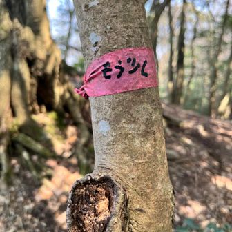 やさしいひとことにほっこり。