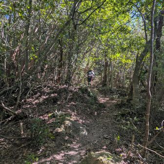休憩後に突然トレラン始まった🏃‍♀️💨🏃‍♀️💨