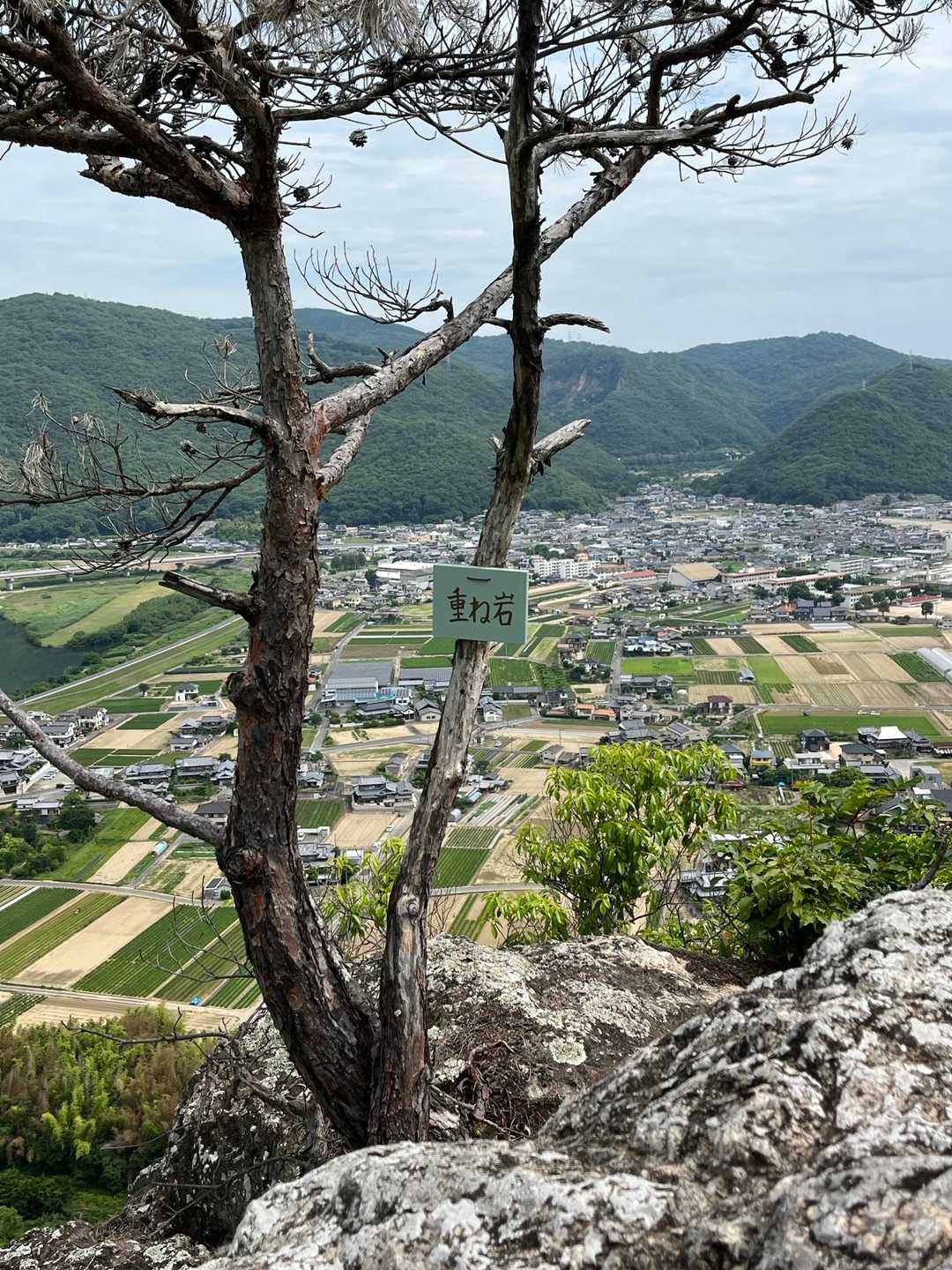 以前はここでティータイム🫖でした
