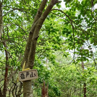 ①音戸山152m