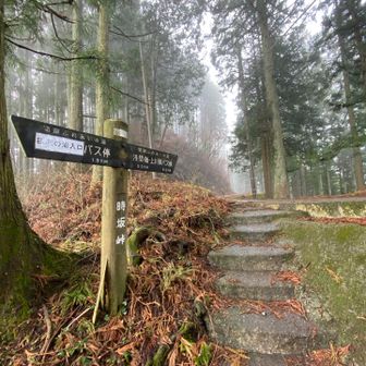 え？また舗装路が・・・