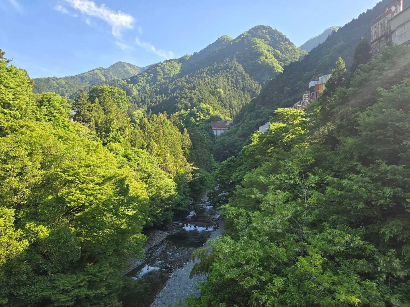 奥多摩駅-本仁田山-瘤高山-川苔山-赤久奈山-古里駅 縦走コースの写真