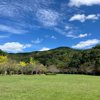 長谷ダム記念公園に戻ってきました。
振り返るとたおやかな稜線の三日月山⛰️
おしまい