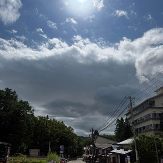 途中から私のスローペースにお付き合い頂きながらhiroshiさんに貴重なお話を沢山お聞きして下山しました。🙇

いや〜❗️
なんだかびっくりする事だらけの🫢本日のお弥彦様でしたな。

それがまた更に楽しかったです。😊