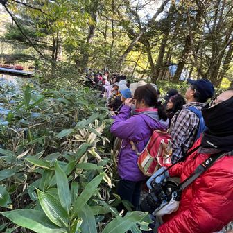 池の周りは神事を見るための人でいっぱい