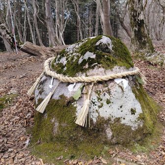 守護岩
生態系を守る守り神