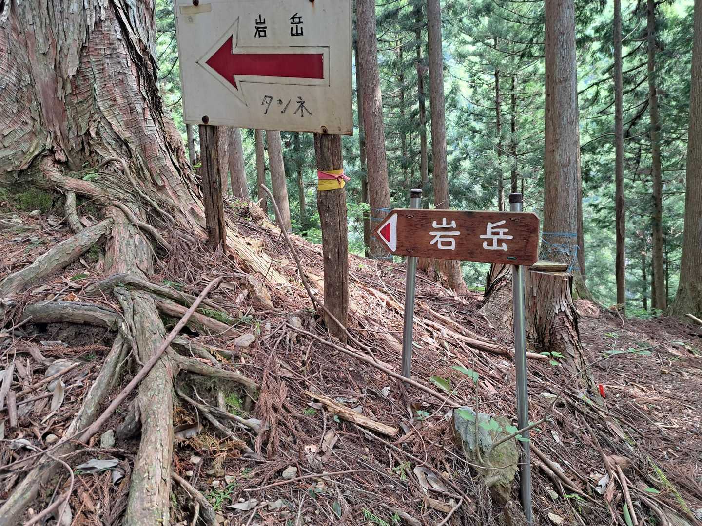 上は昔からある看板。下のは仲間が設置したもの。どちらもＯＫ