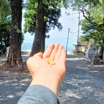 ※頂上でお会いした地元の方に🥜いただきました😉