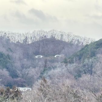 怖い💦見られてる😱