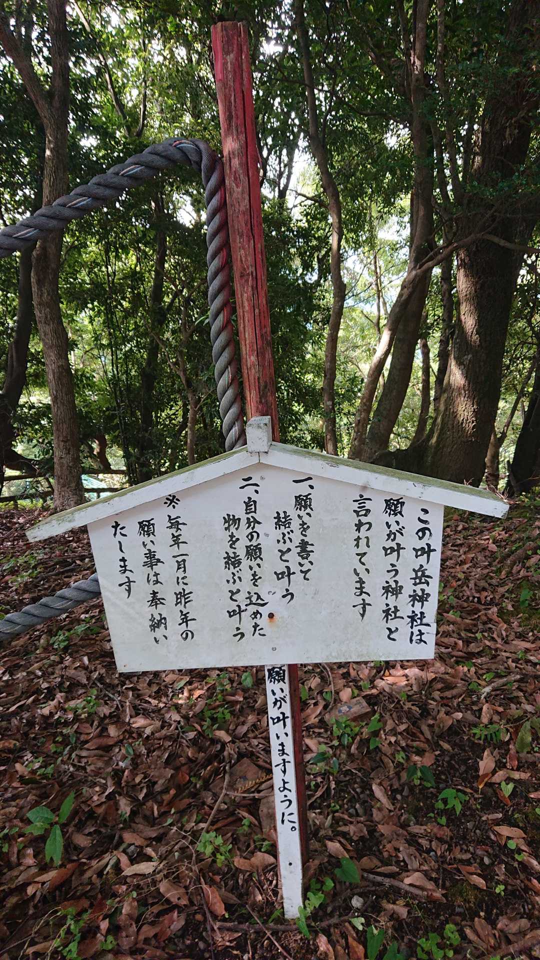 叶岳（鹿児島県）の写真