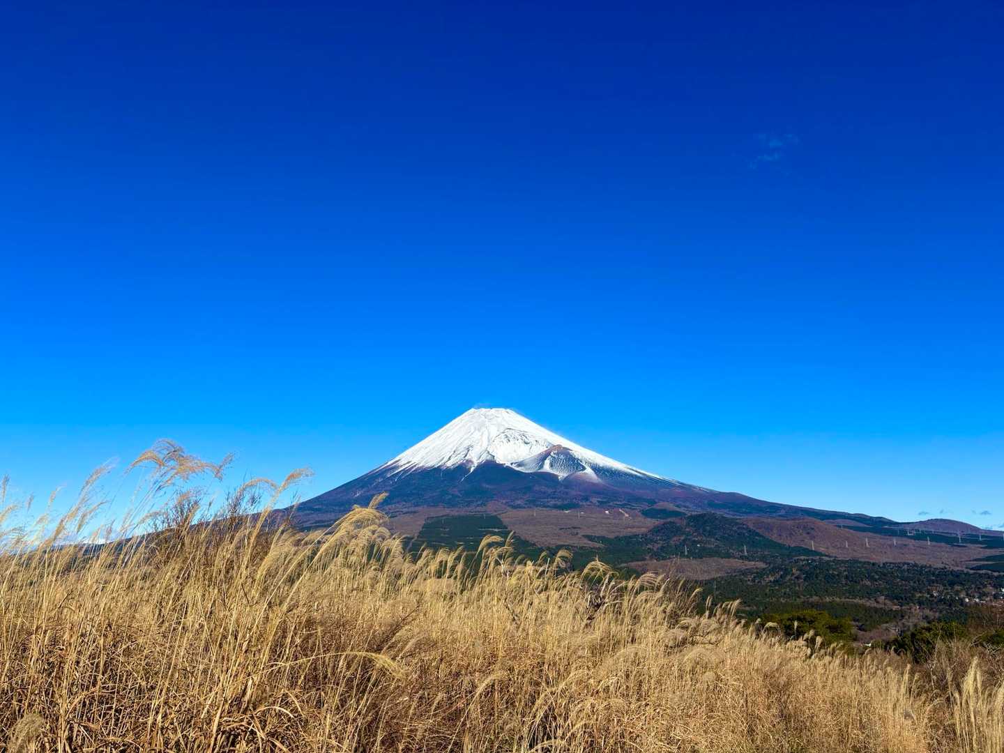何枚も撮ってしまうパターン