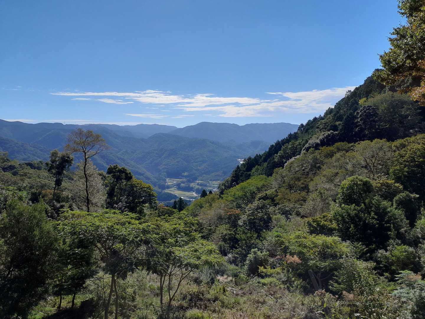 高代寺山-吉川八幡神社 周回コースの写真