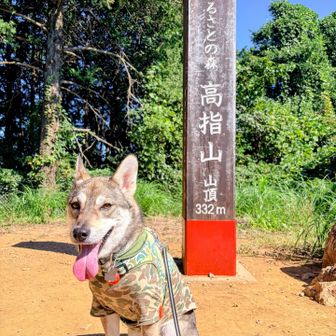 物見山まで行きたかったけど、この子が反対しました🐶