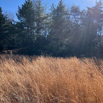 でこぼこ山山頂？