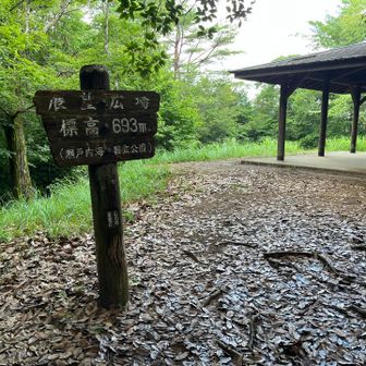 最高点693m