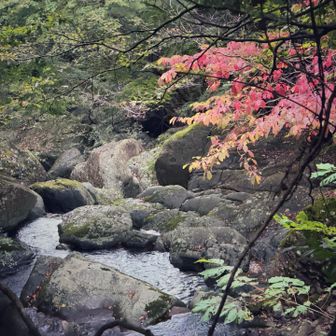 色づく渓谷