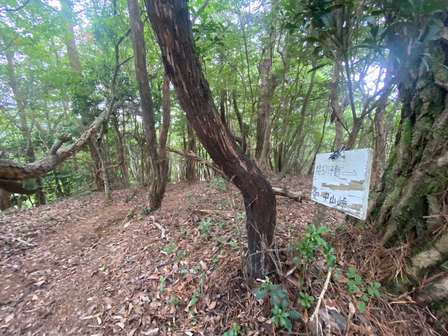 中山峠分岐