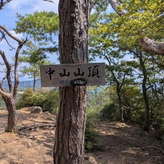 中山に到着😀登山口から53分💦
お水を飲んで🤣
すでに短パンビチョビチョ💦