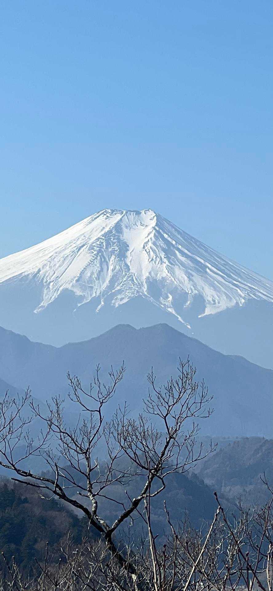 大月駅-菊花山登山口-菊花山-馬立山-札金峠-紺屋の休場- 縦走コースの写真