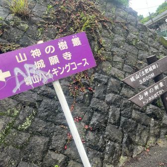 コースの半分はほぼ急な車道を歩く。