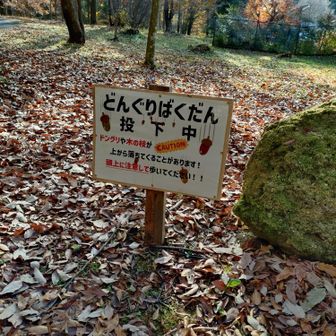 気をつけないと😂