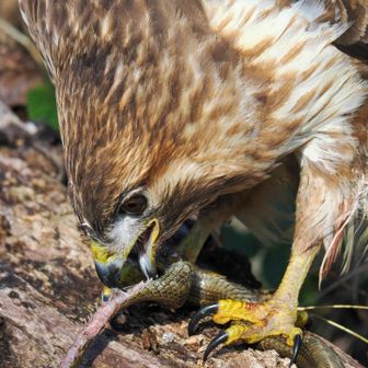 しかし全然食べ進まない…そろそろ40分経過、寒くなってきた🥶
かえるさん来るって言ったから動こー