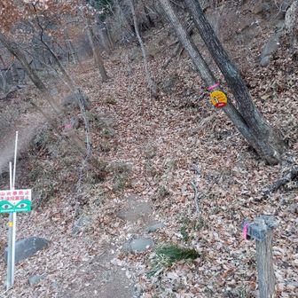 気を取り直して大蔵経寺山を目指しましょ。